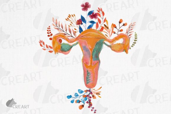 Floral Woman Reproductive System Clipart Guide