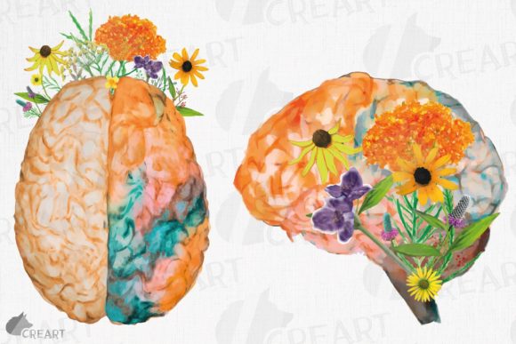 The Art of Cognition: Embracing the Prairie Flower Blooming Anatomical Brain in Modern Design